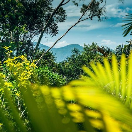 Bella Vista Bellingen Bed & Breakfast Dış mekan fotoğraf