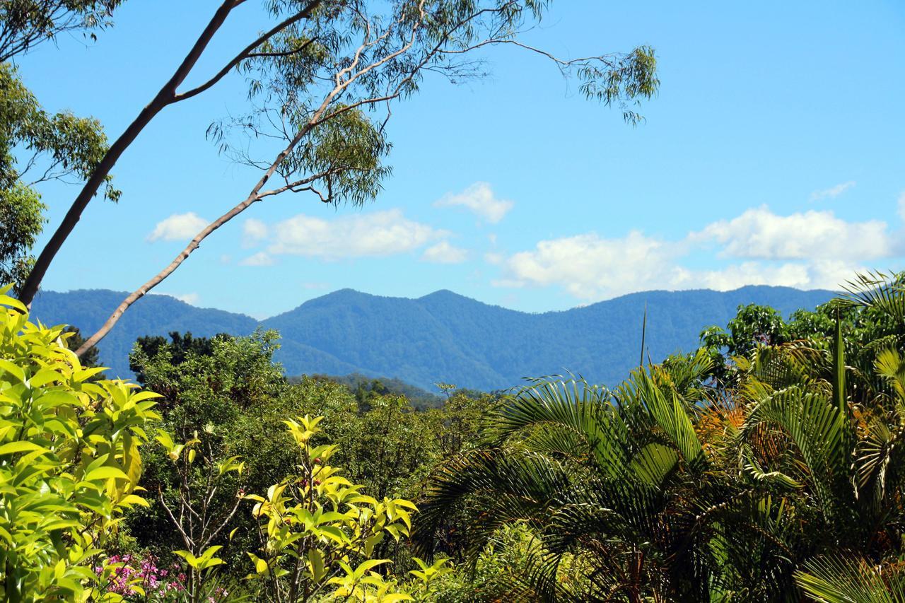 Bella Vista Bellingen Bed & Breakfast Dış mekan fotoğraf