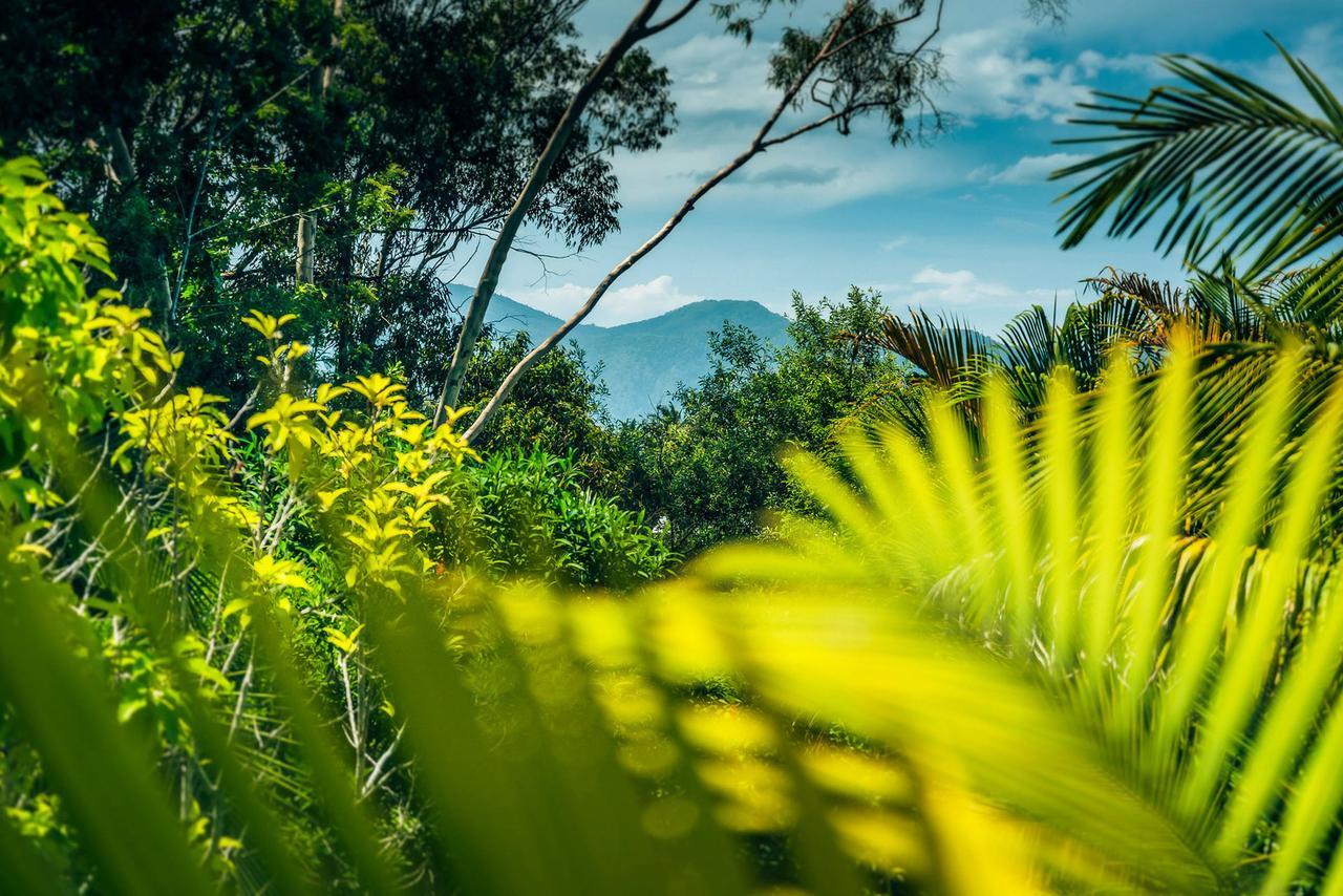Bella Vista Bellingen Bed & Breakfast Dış mekan fotoğraf