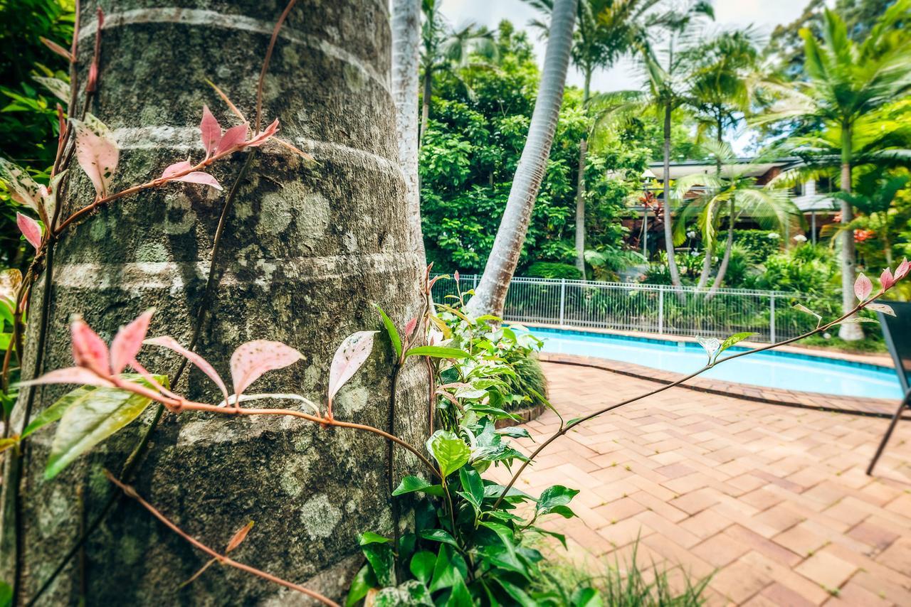 Bella Vista Bellingen Bed & Breakfast Dış mekan fotoğraf